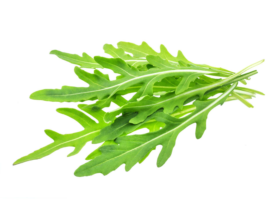 Rocket rucola