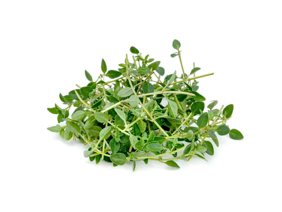 thyme or Lemon