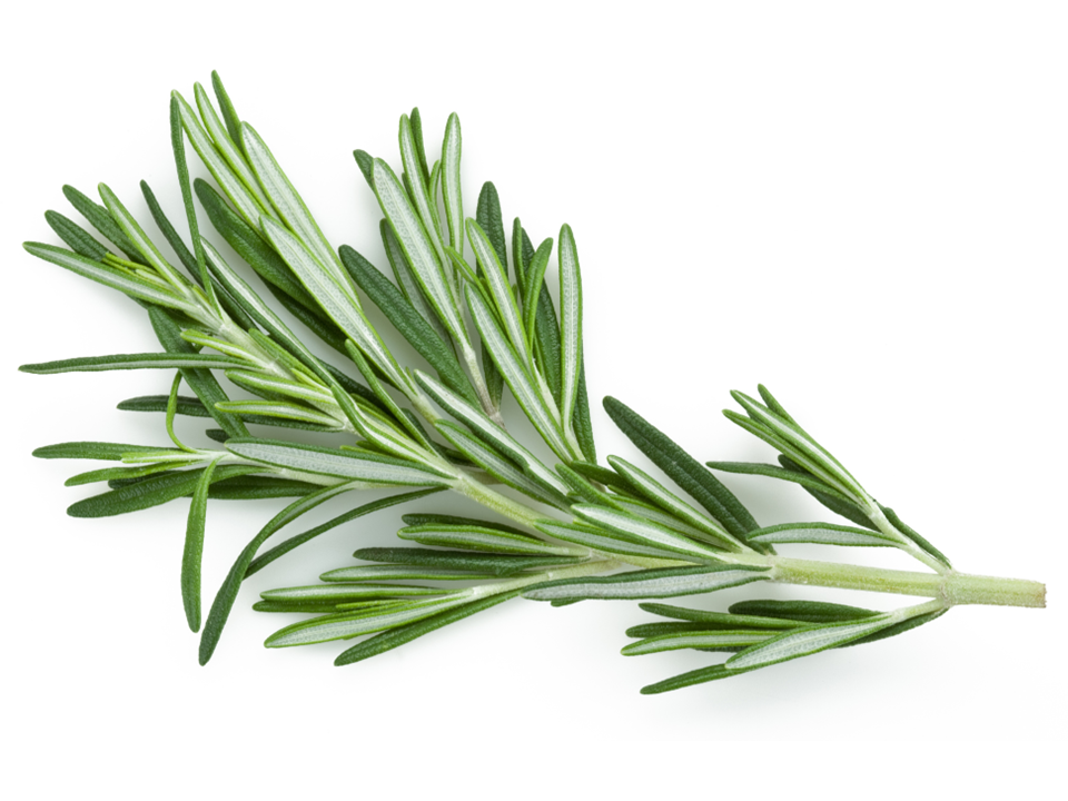 Rosemary