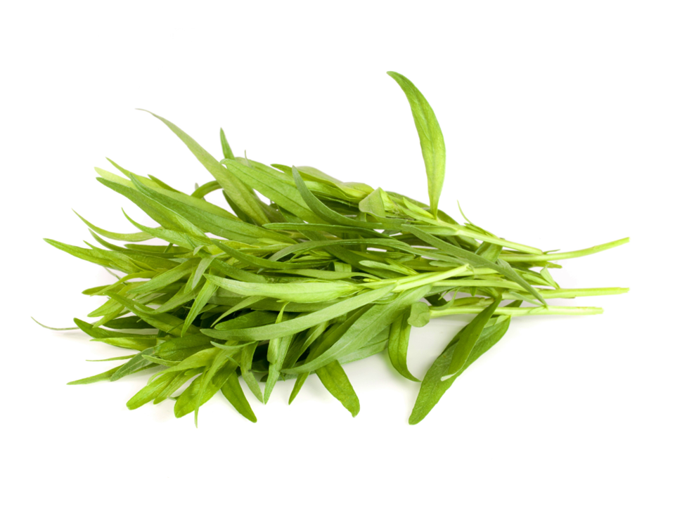 Tarragon